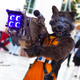 Image for article titled Our Favorite Cosplay From Katsucon 2022